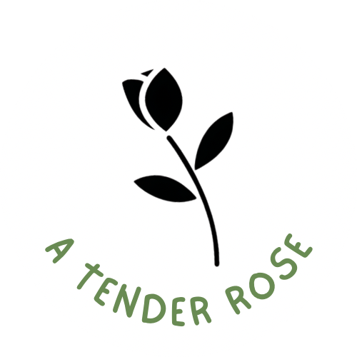 A Tender Rose